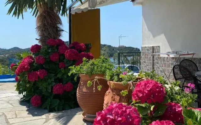 Demi Studios