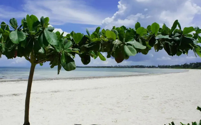 Pongwe Bay Resort