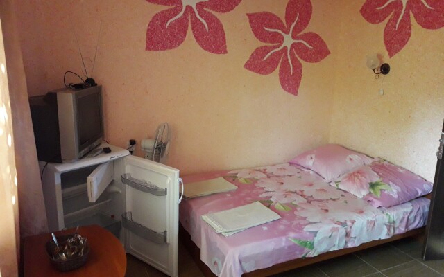 Guest House on Liski