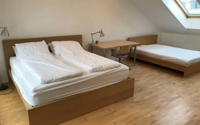 Laugavegur Penthouse Apartment