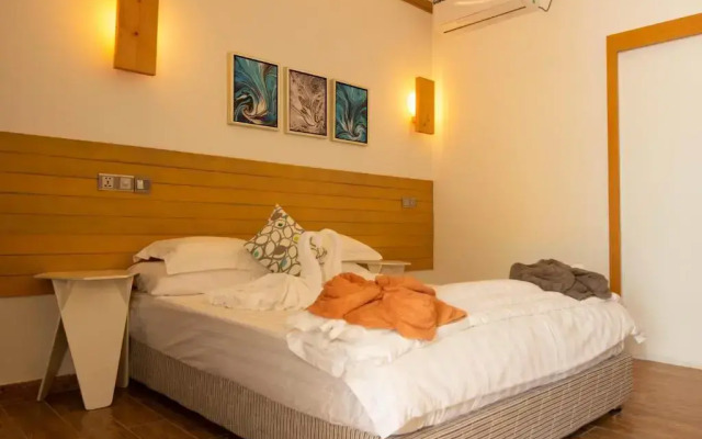 Trip Villa