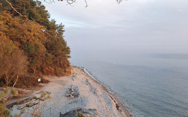 Camping Enot-Arkhipo-Osipovka