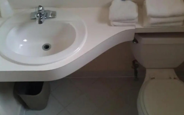 Trailborn Rocky Mountains