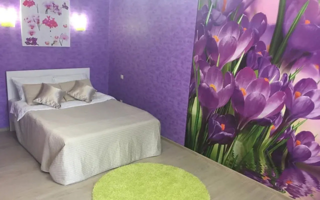 Apartamenty na Manezhnoy