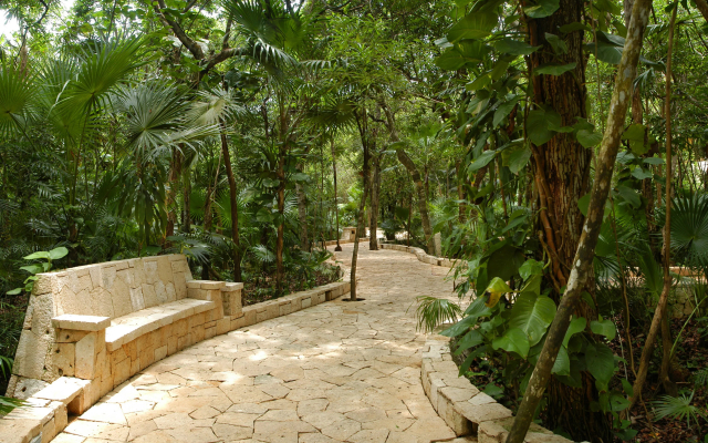 Catalonia Royal Tulum  Adults Only - All Inclusive