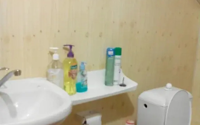 Guest House near Diveyevo and Sarov