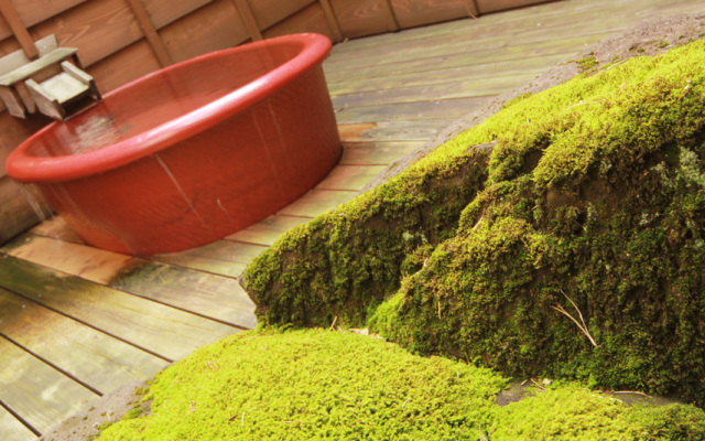 Yutagami Onsen Ryokan Hatsune