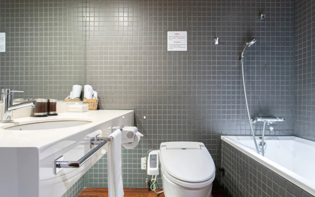 Deluxe Single / Semi Double room 사진 3
