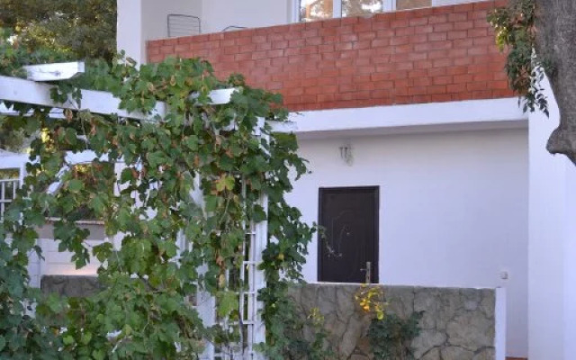 Guest House Sashenka