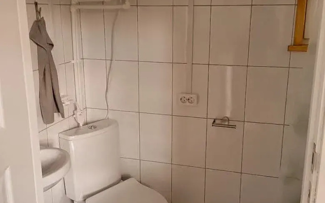 Побеги