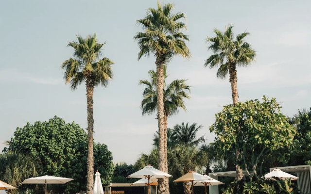 Delano Dubai