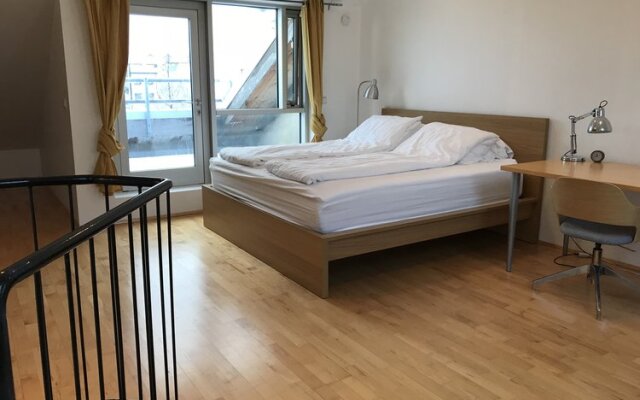 Laugavegur Penthouse Apartment