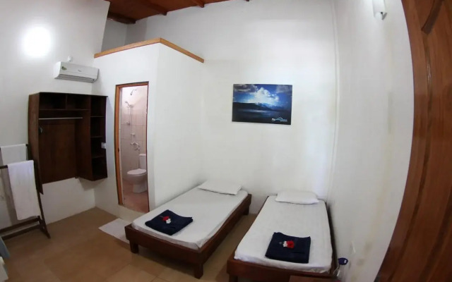 Cokes Surf Camp