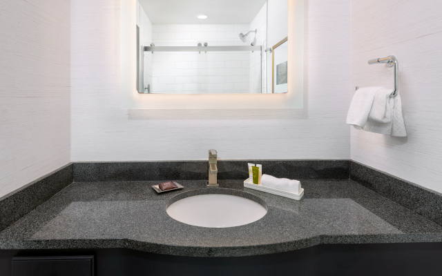 Hilton Pennywell St. Louis at the Arch