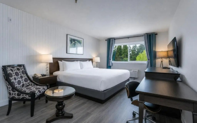 Hotel International