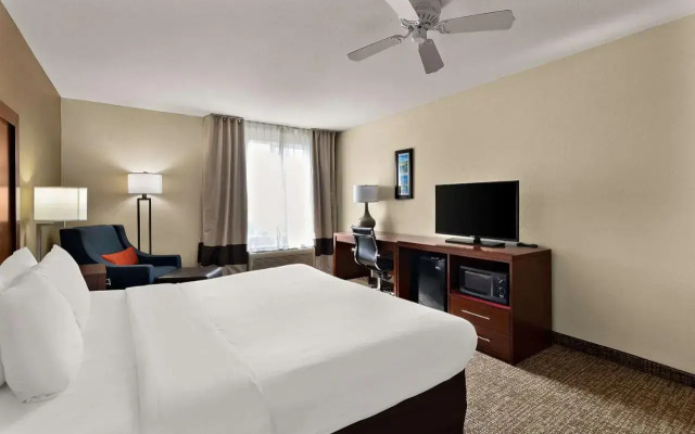 Comfort Inn & Suites Sequoia/Kings Canyon