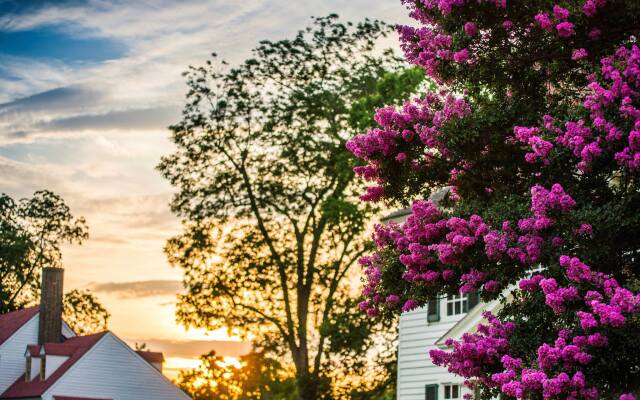 Отель Colonial Houses, an official Colonial Williamsburg