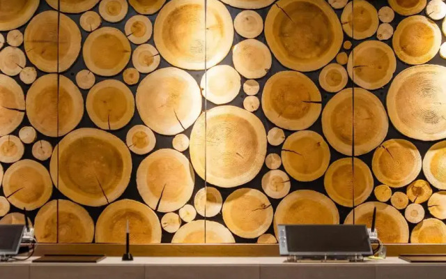 SUPERHOTEL Premier GINZA
