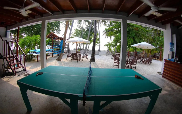 Cokes Surf Camp