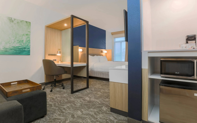 SpringHill Suites by Marriott Tallahassee North