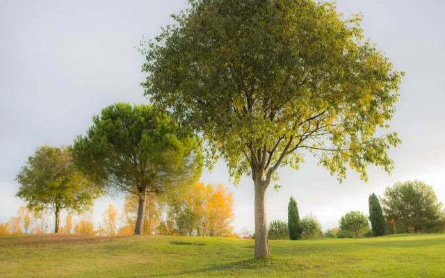 Résidence Les Jardins de Massane