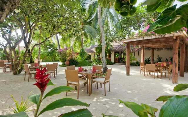 Kuramathi Maldives