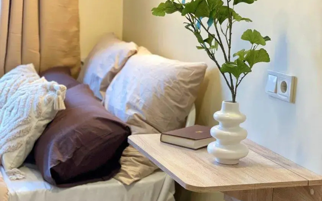 Апартаменты на Светлановском проспекте 48/19