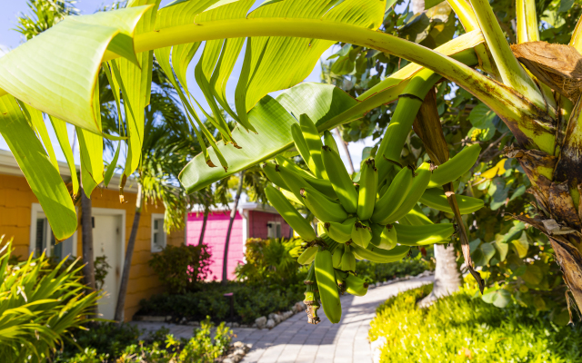 La Siesta Resort & Villas