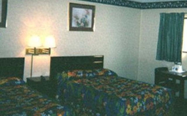 Essence Express Elizabeth EWR Airport