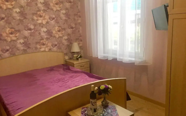 Guest house Svetlana