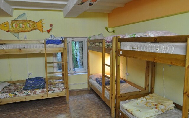 Nerpa Backpackers Hostel