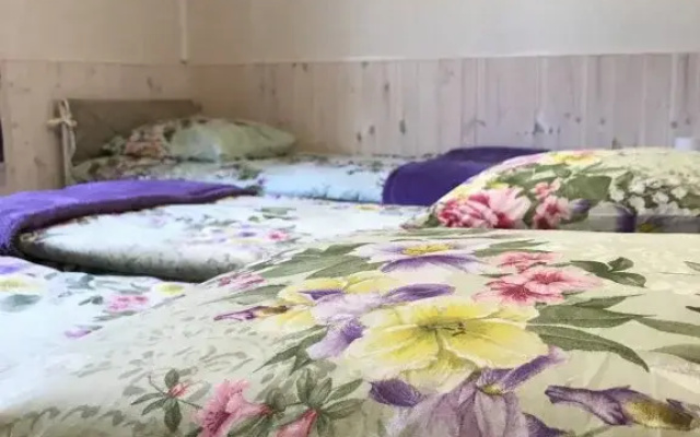 Seliger Apart-Hotel