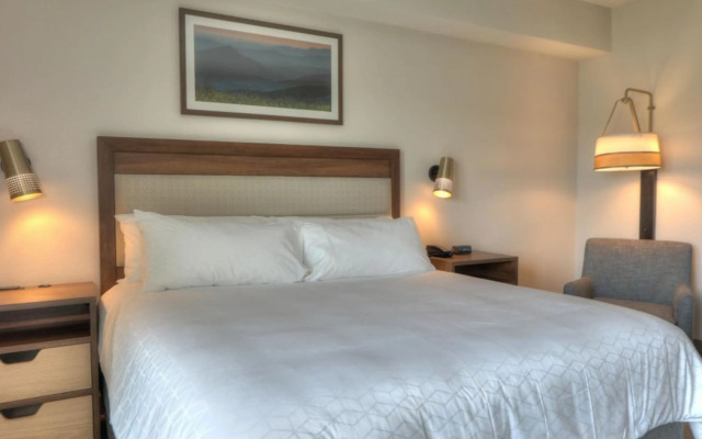 Holiday Inn & Suites Pigeon Forge Convention Center by IHG