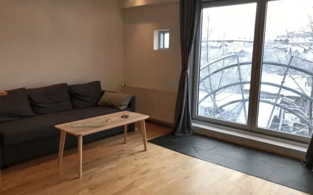 Laugavegur Penthouse Apartment