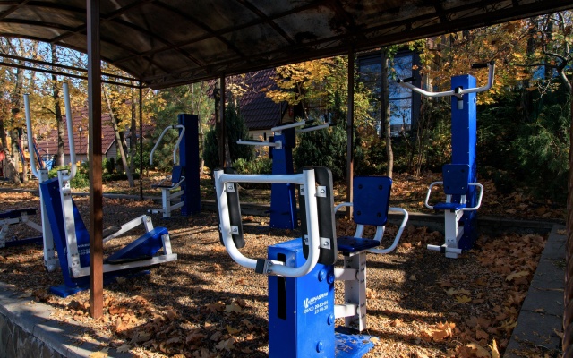 Берег солнца