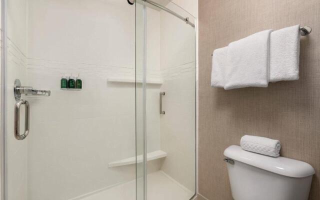 Residence Inn Atlanta Gwinnett Place