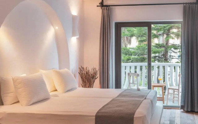 Flamingo Hotel & Spa - Pet Friendly