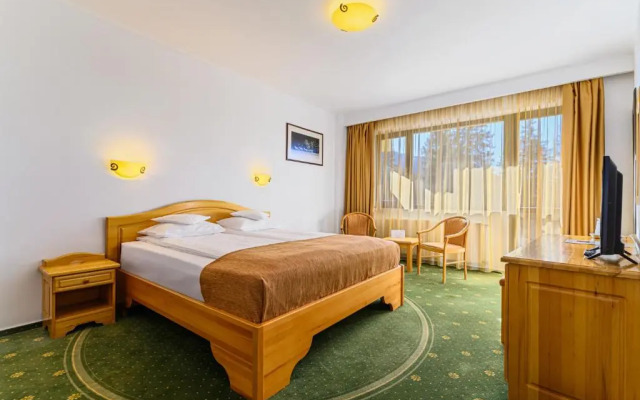 Hotel Casa Viorel