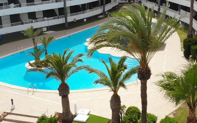 Apartamentos Palmera Beach