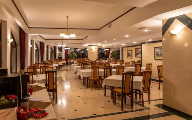 Hotel Casa Viorel