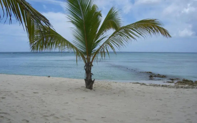 Hotel Bayahibe