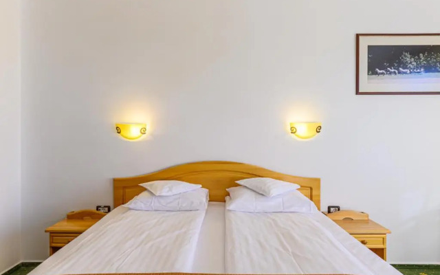 Hotel Casa Viorel