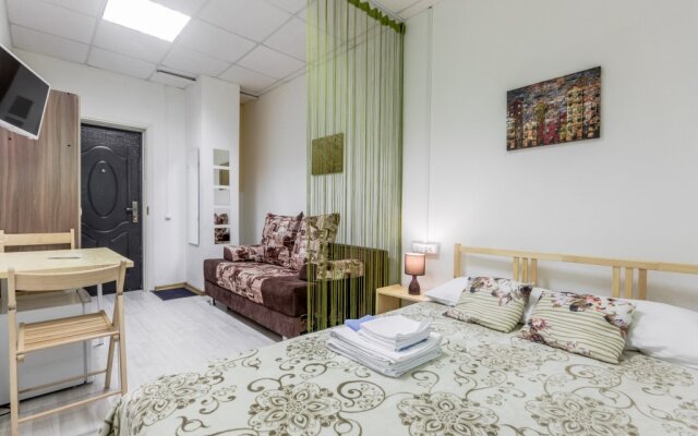 Studii Spb Chapygina