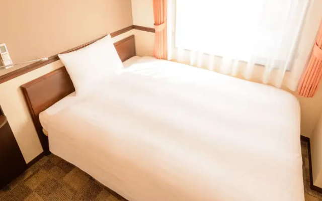 Premium Plus Double room (풀 더블 침대) 사진 1