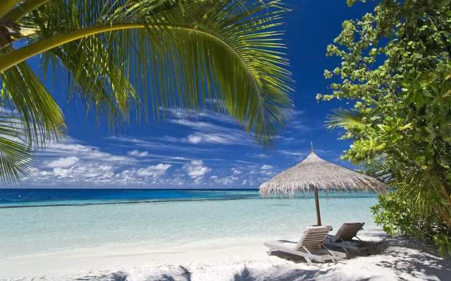 Gangehi Island Resort