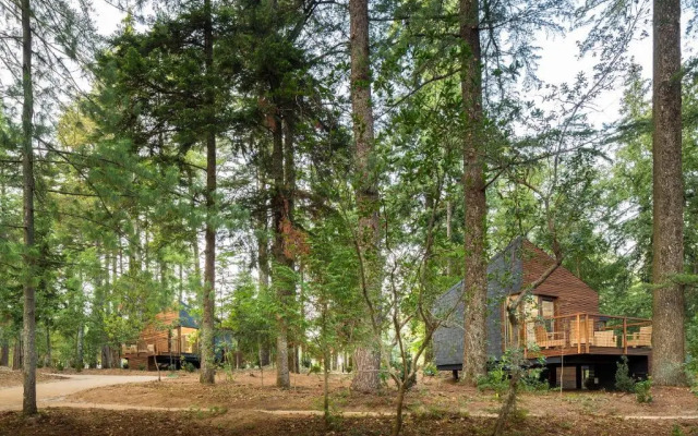 Pedras Salgadas Spa & Nature Park