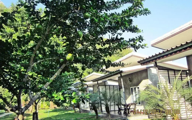 V Valley Resort