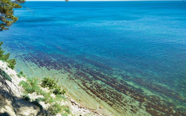 Camping Enot-Arkhipo-Osipovka