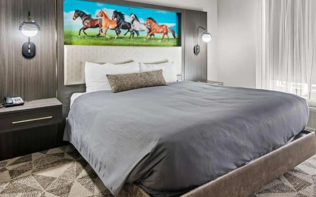 Big Country Hotel & Suites, SureStay Collection by BW