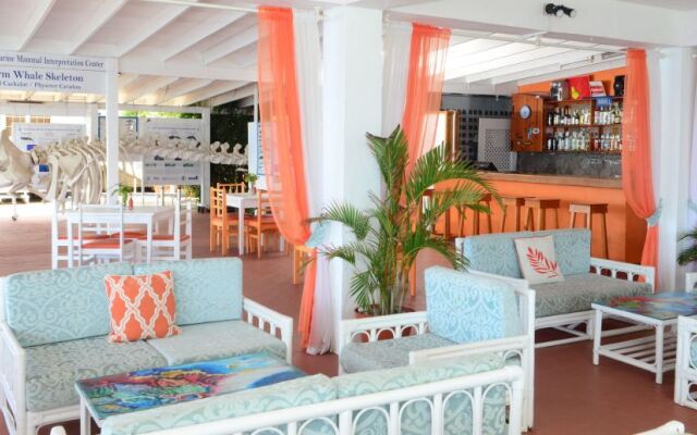 Anchorage Hotel & Dive Center